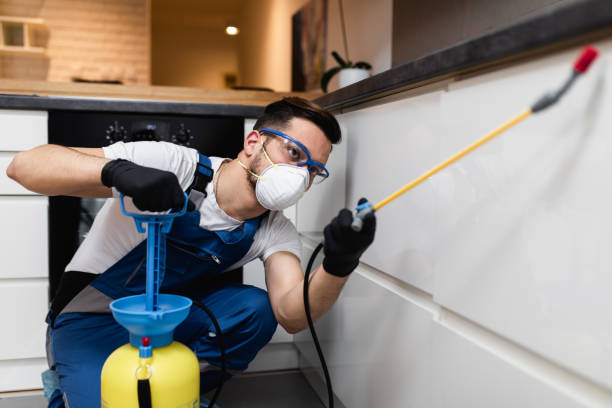 Flea Control Services in Swansea, IL